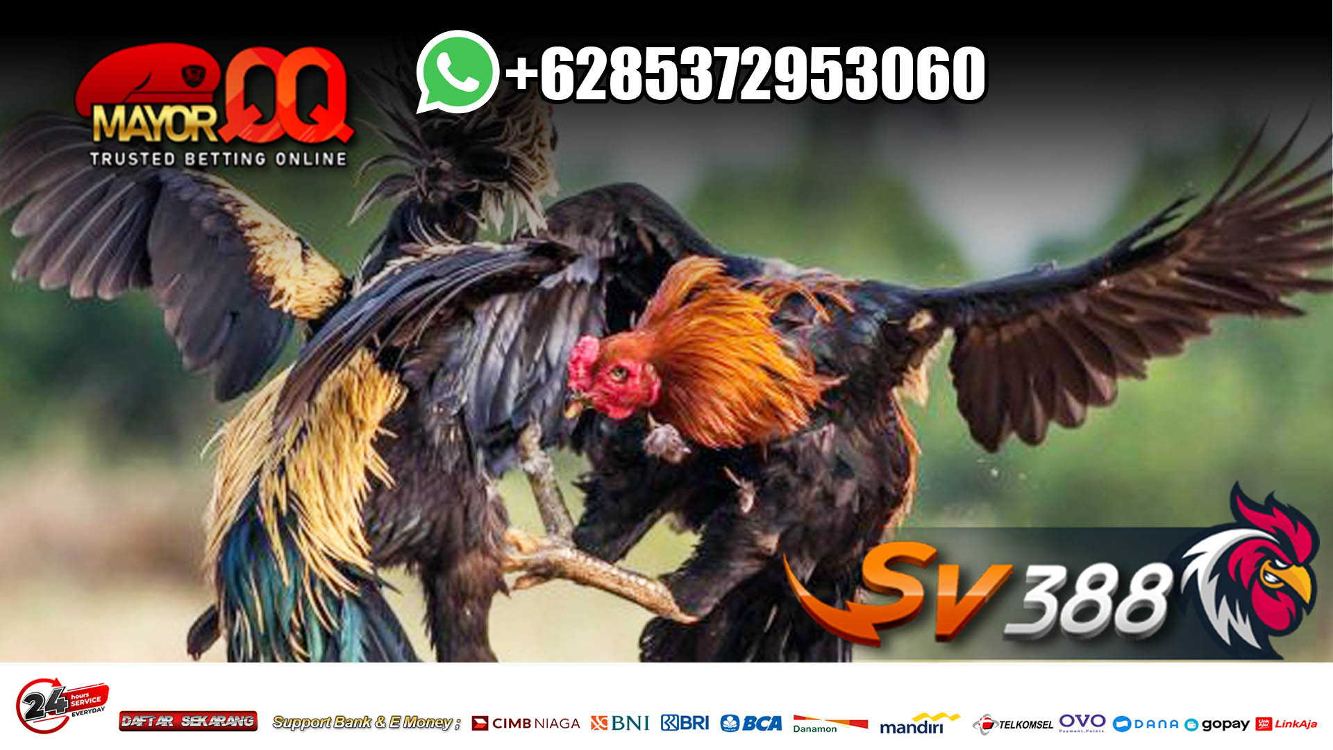 Situs Permainan Sabung Ayam Online Filipina SV388